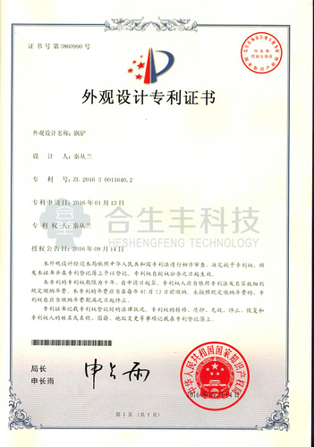 Design patent certificate